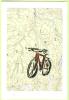 Cycling 