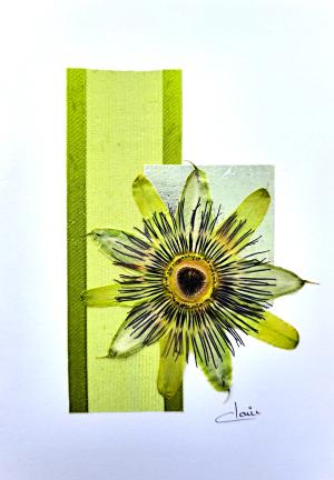 Leaves and Flowers 