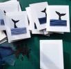 Orca Cards