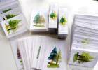 Rain Forest Cards