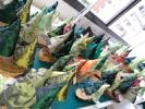 Textile Forest