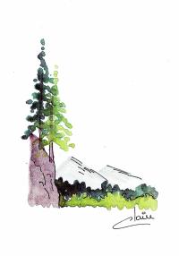 Watercolor 
