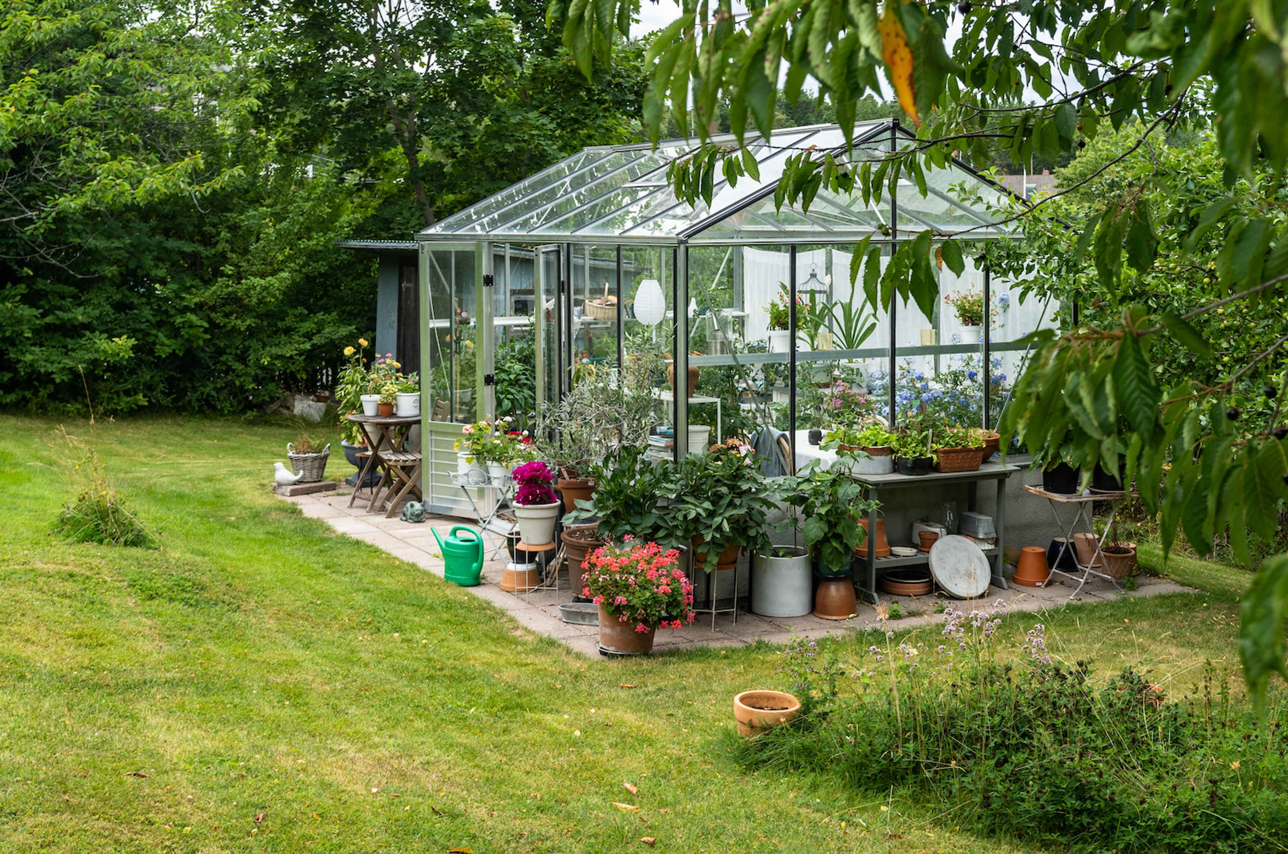 Förbered din trädgård inför våren - 5 tips