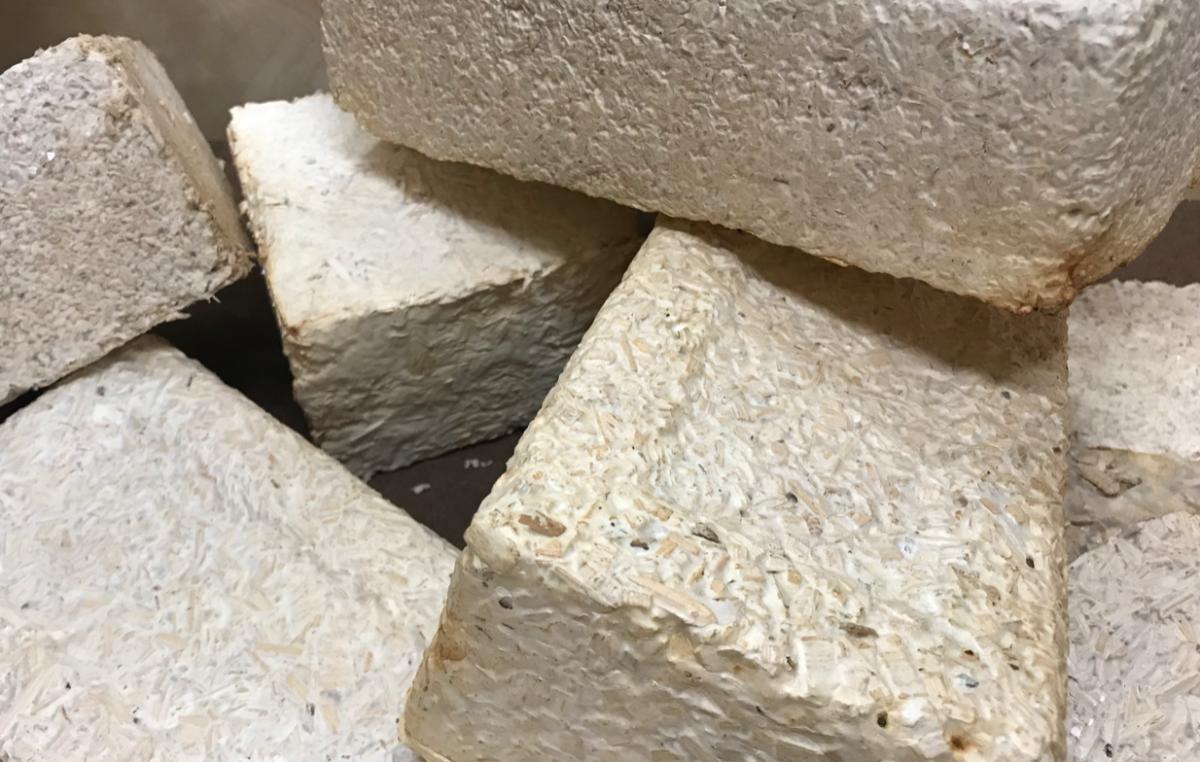Bricks grown from mycelium, yard waste and wood chips