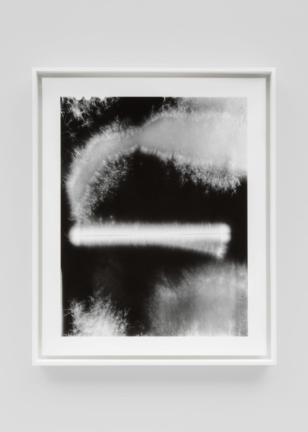 Electrograms 1978–2020 | Gordon Robichaux