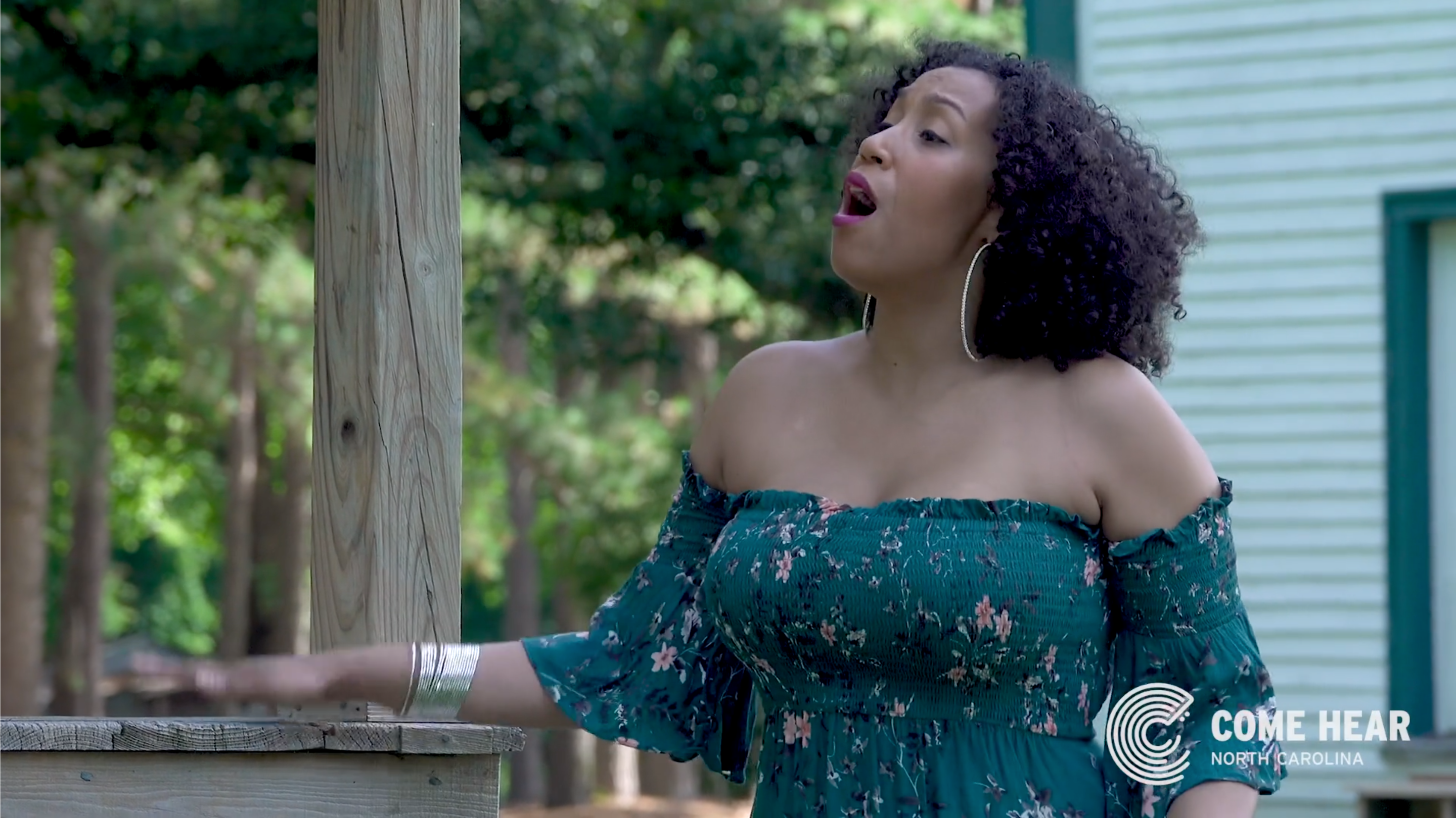 Artist - Rissi Palmer