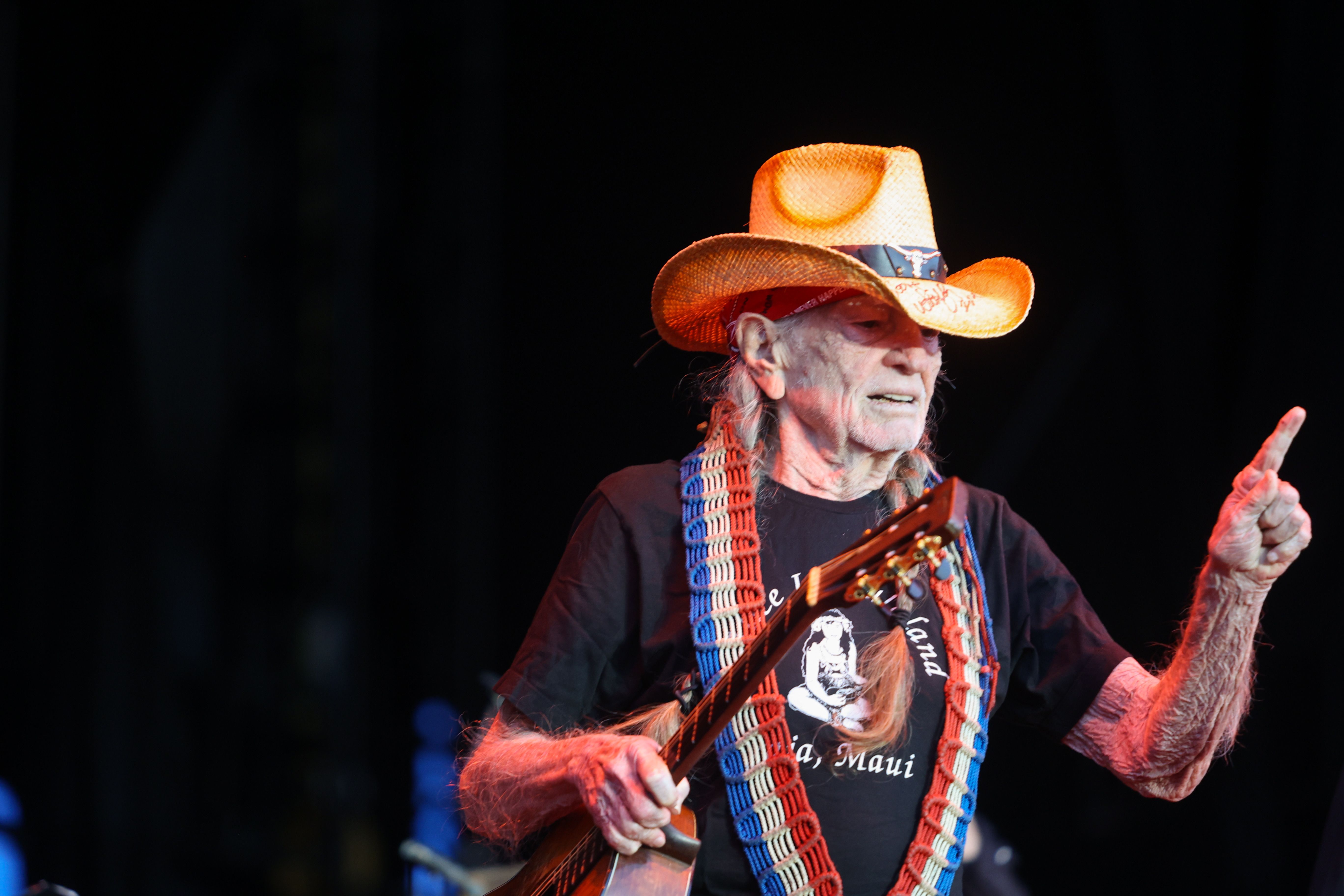 Willie Nelson By Sarah Cahill