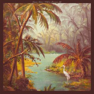 Duane Betts - Wild & Precious Life Album Cover