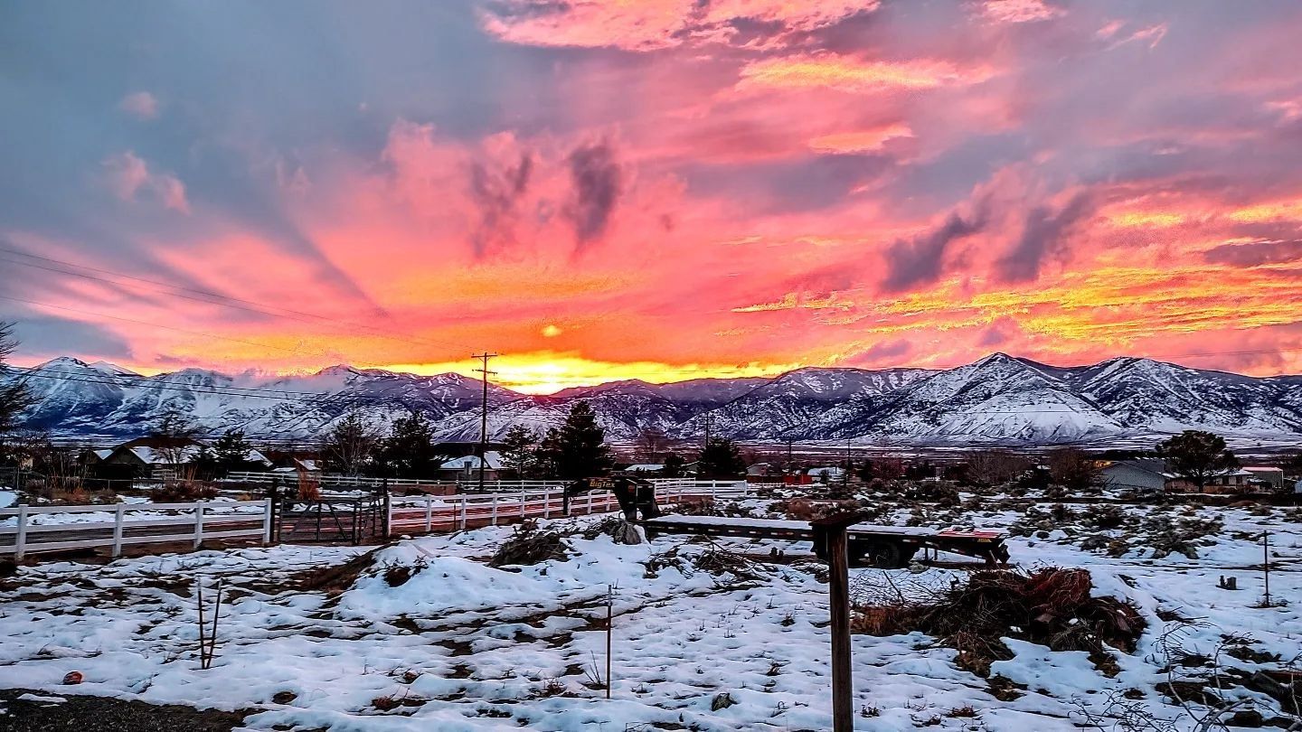 BackCountry Festival 2023 LineUp, Dates and Tickets Holler