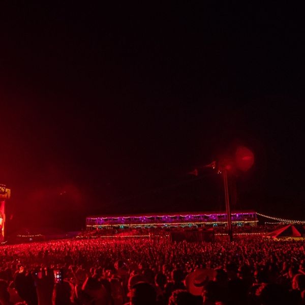 Faster Horses Festival 2024