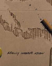 Ole 60 - Really Wanna Know