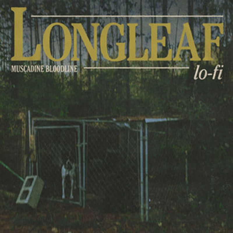 <p>Muscadine Bloodline Longleaf Lo-Fi</p>