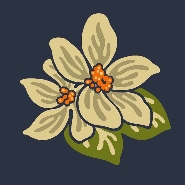 Orange Blossom Revue Logo