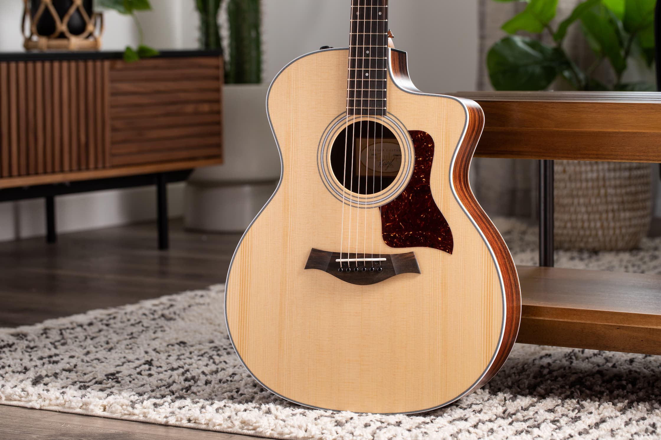 Taylor 214ce Guitar Prize for the Holler Songwriter Competition
