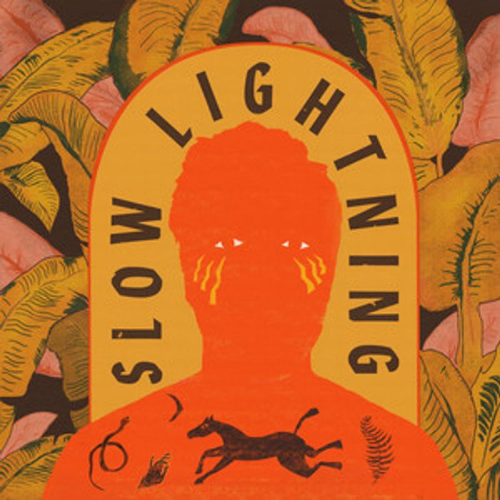 The Bones of J.R. Jones - Slow Lightning Album Cover