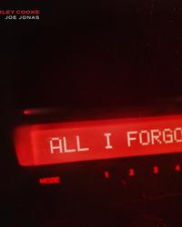 Single – All I Forgot – Ashley Cooke & Joe Jonas