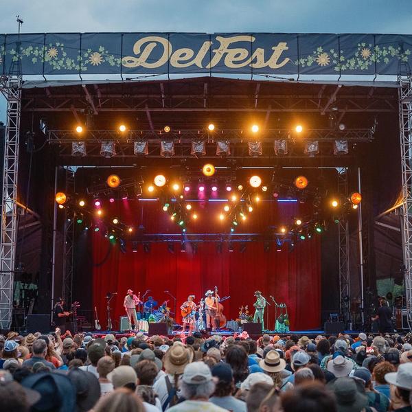 Festival - DelFest 2025 1