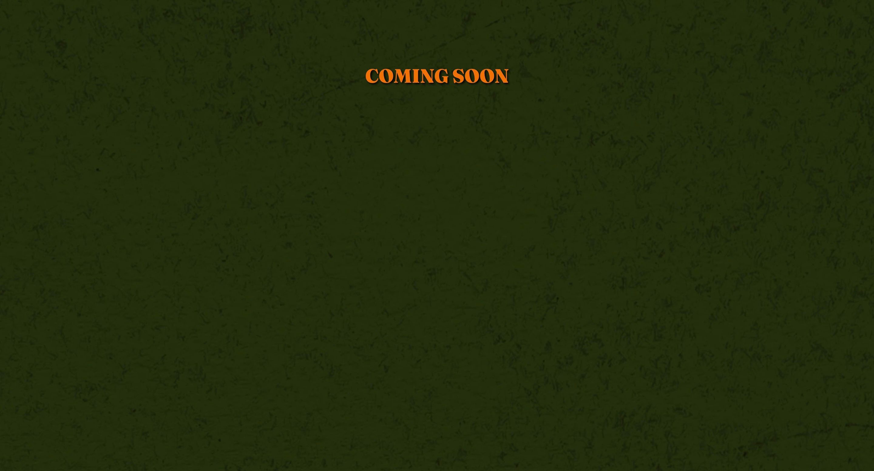 <p>Turnpike Troubadours Website Screenshot</p>