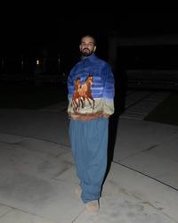 Drake wearing horses on his shirt