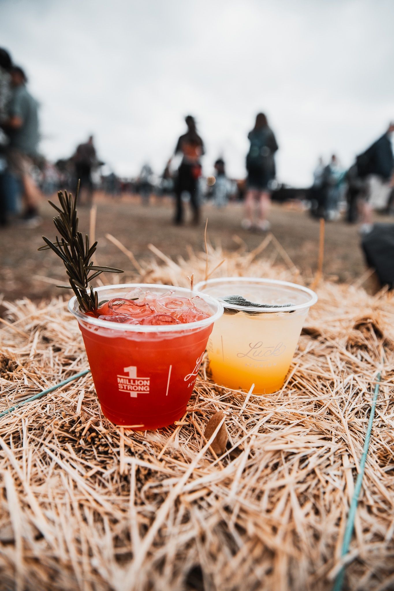 Holler Country Music