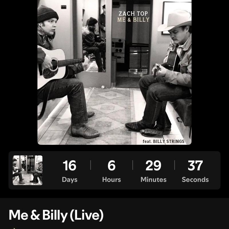 <p>Zach Top & Billy Strings EP Screenshot</p>
