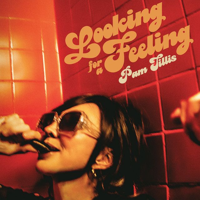 Pam Tillis - Looking for a Feeling Album Cover