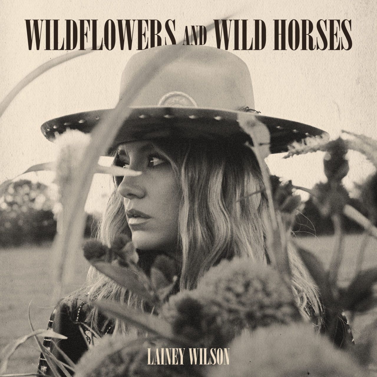 'Wildflowers and Wild Horses' by Lainey Wilson Lyrics & Meaning Holler