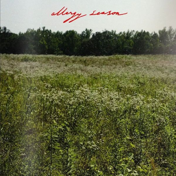 Album - Levi Turner - Allergy Season