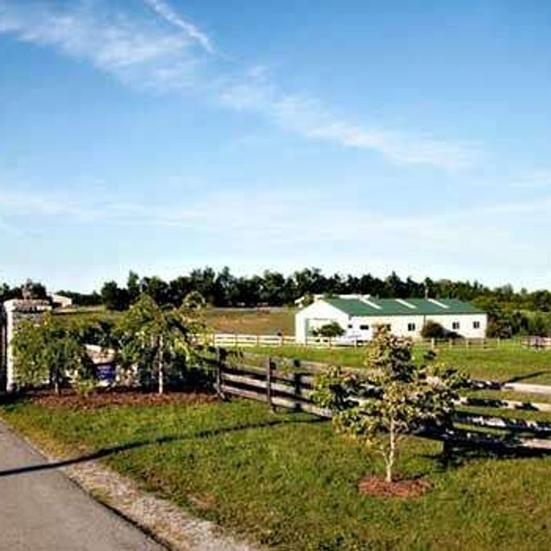 <p>Ballyhigh Show Stables, KY</p>