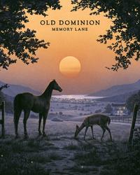 Old Dominion - Memory Lane Album Cover