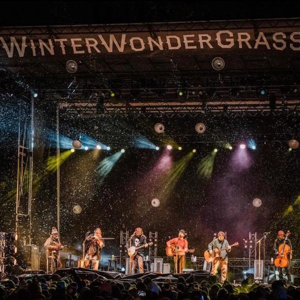 Festival - Winterwondergrass California 2024