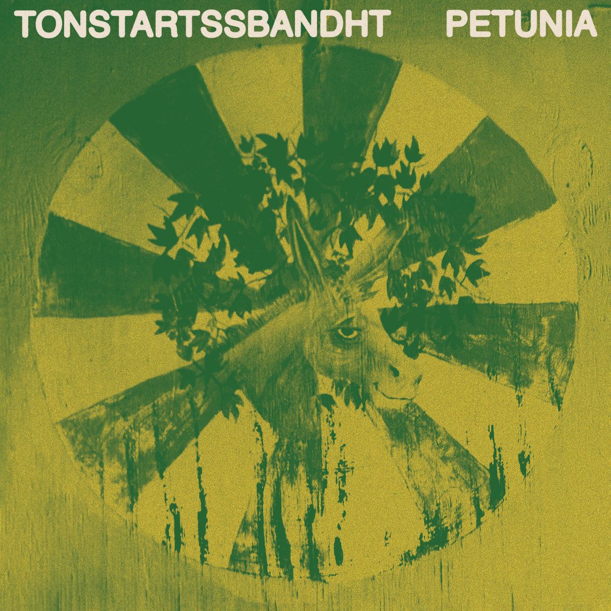 Tonstartssbandht - Petunia Album Cover