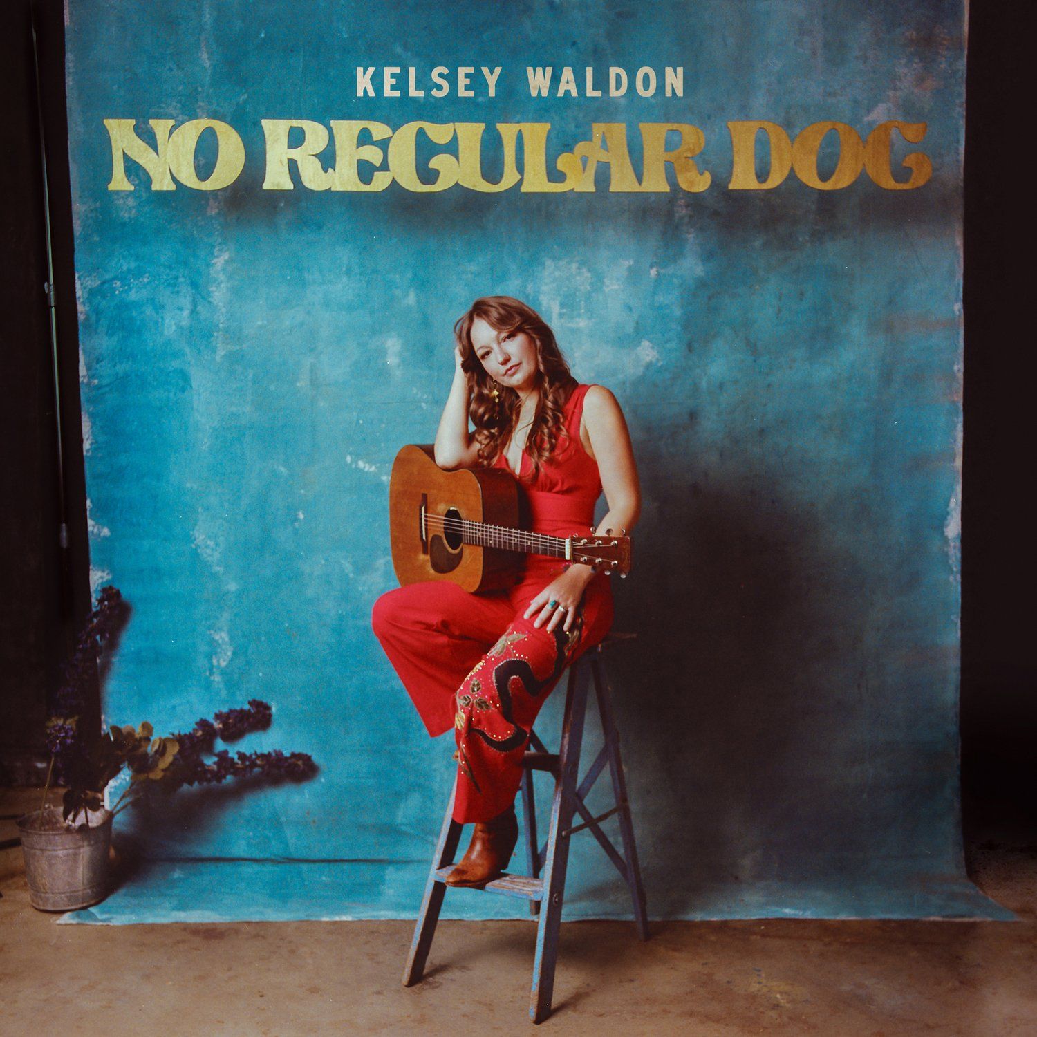 Kelsey Waldon - No Regular Dog Album Cover