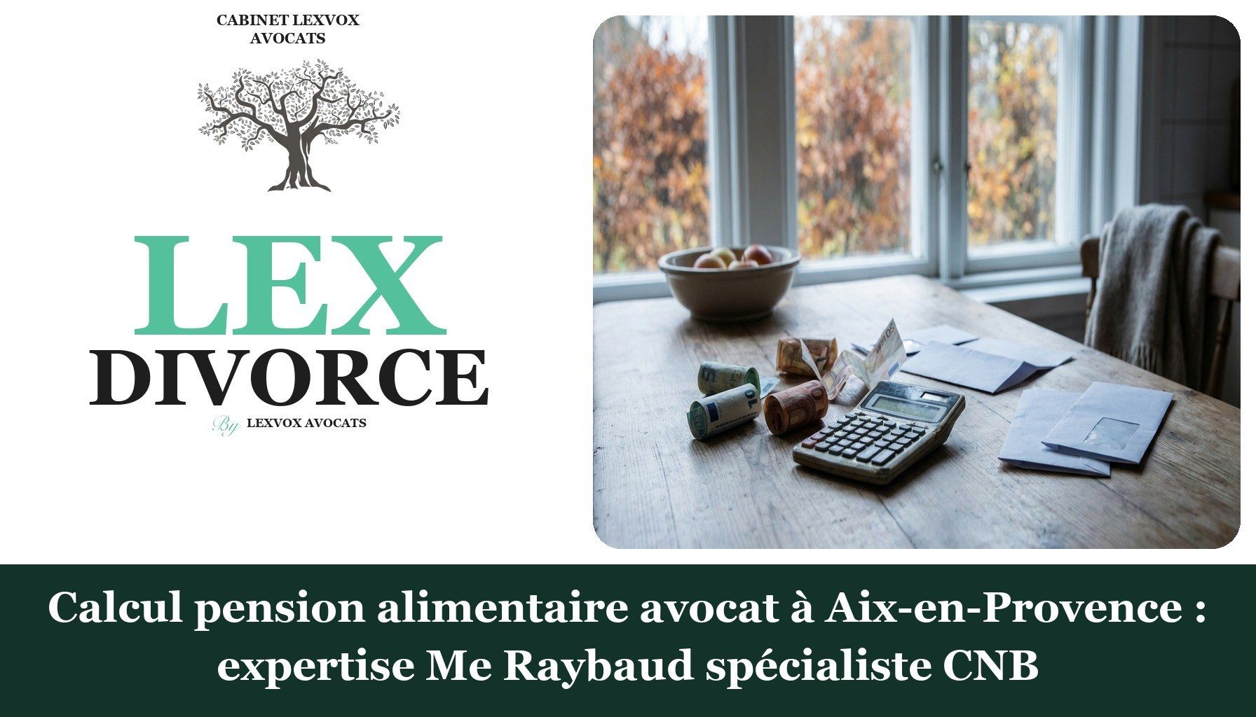 Calcul pension alimentaire avocat à Aix-en-Provence : expertise Me Raybaud spécialiste CNB