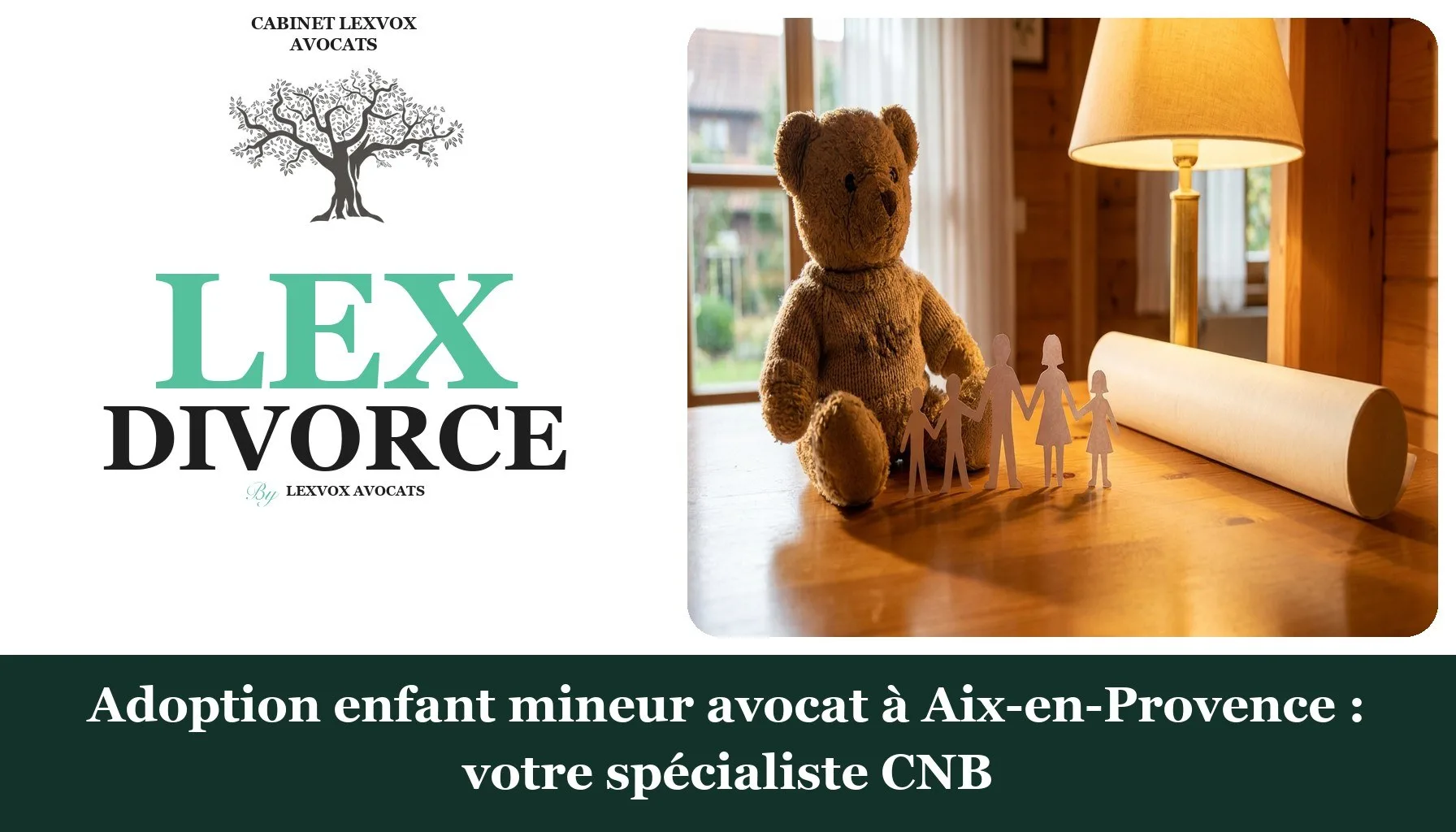 Adoption enfant mineur avocat à Aix-en-Provence : votre spécialiste CNB