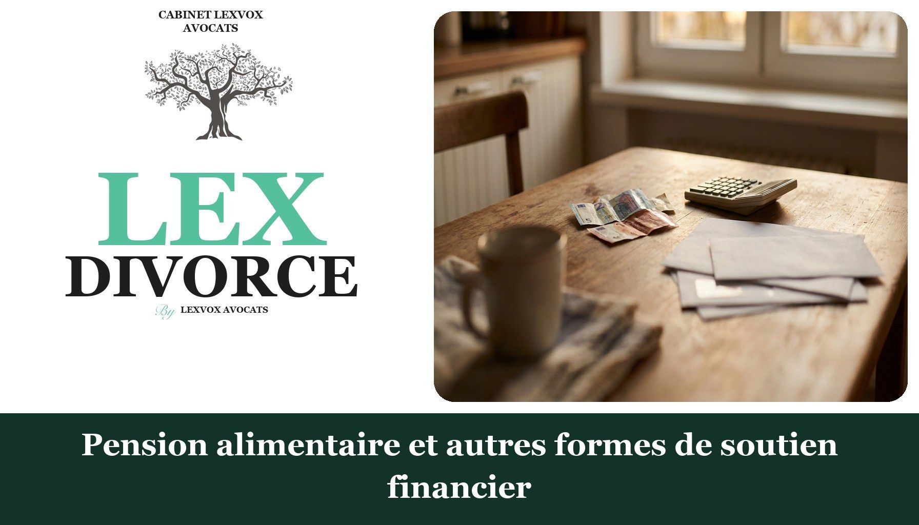 Pension alimentaire et autres formes de soutien financier