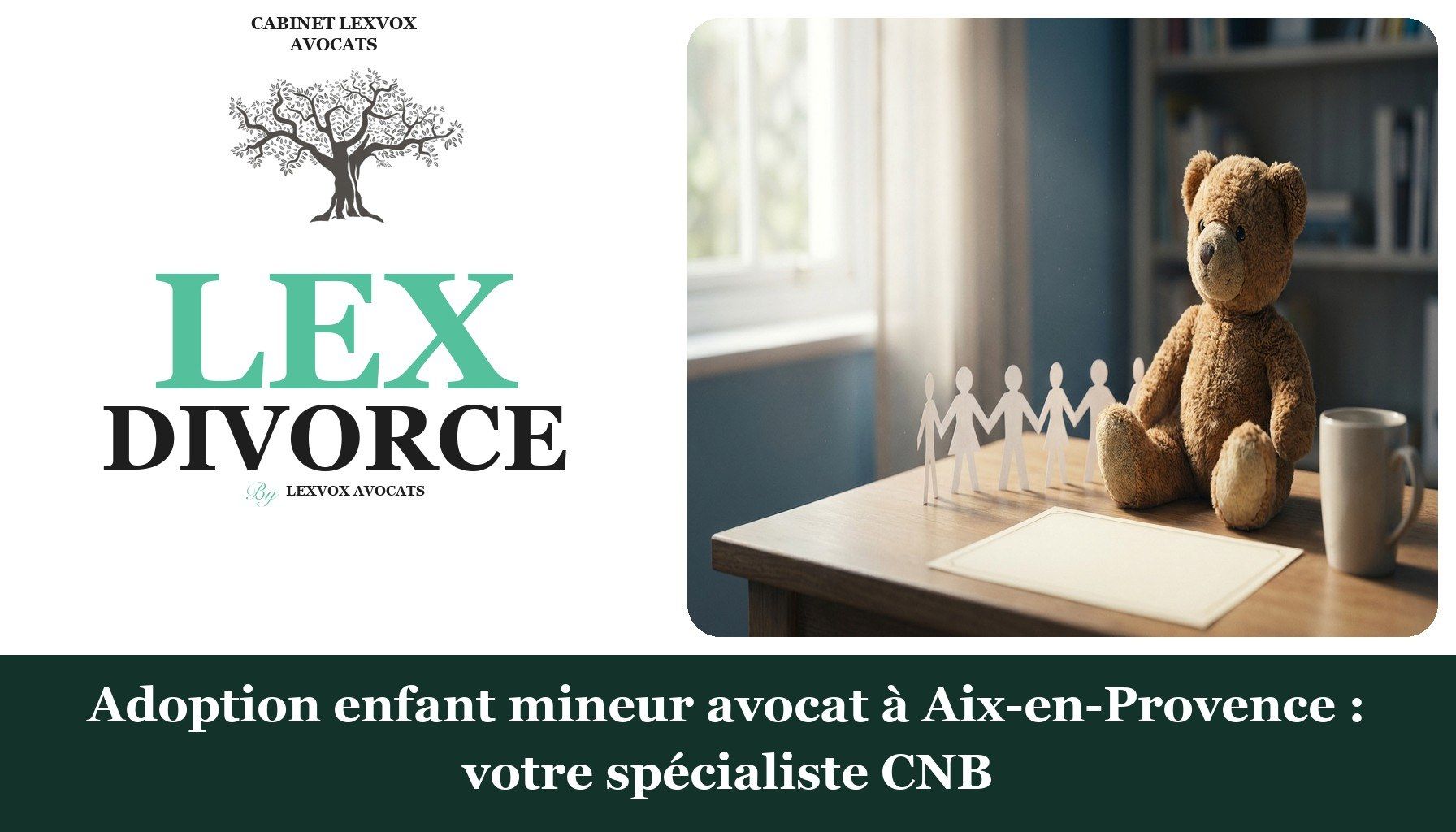 Adoption enfant mineur avocat à Aix-en-Provence : votre spécialiste CNB