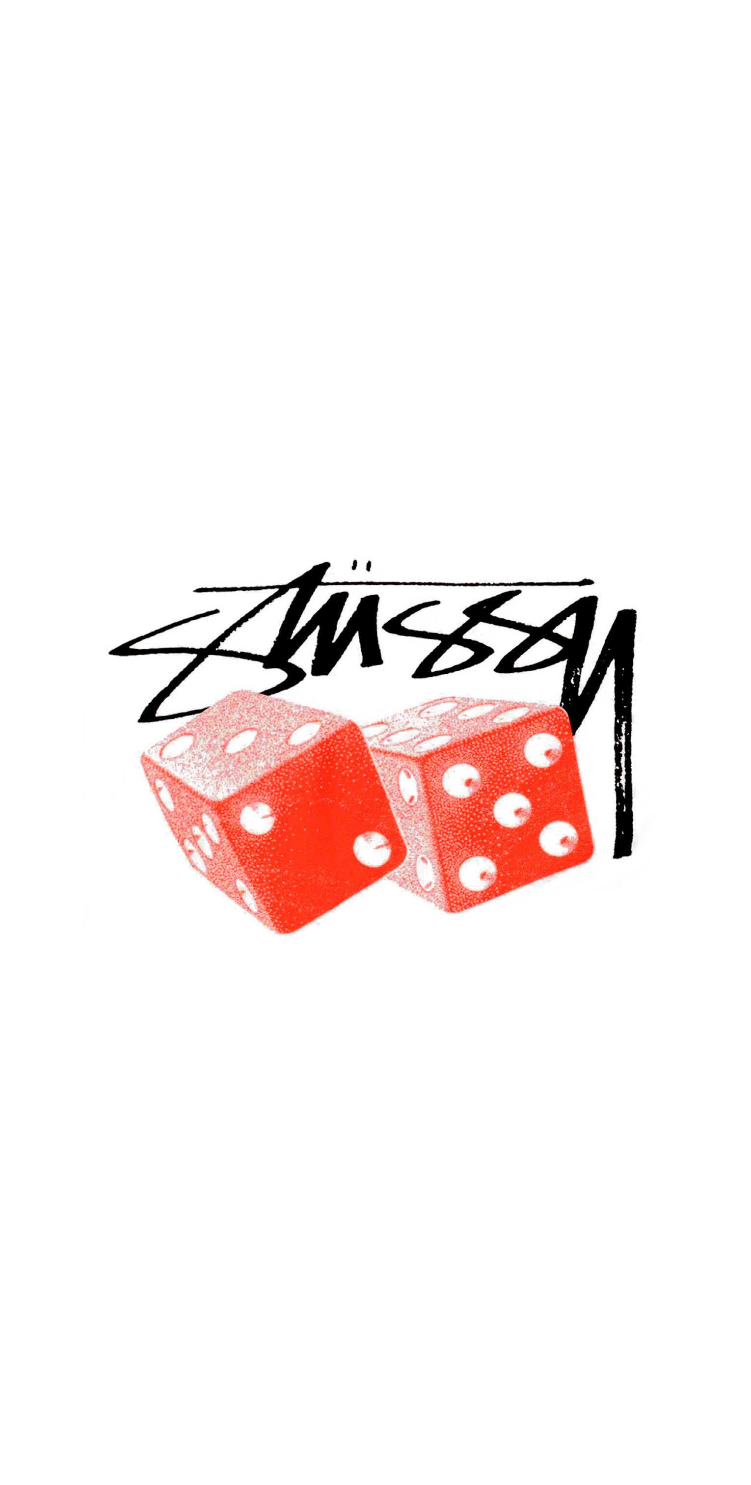 Stussy Summer '26