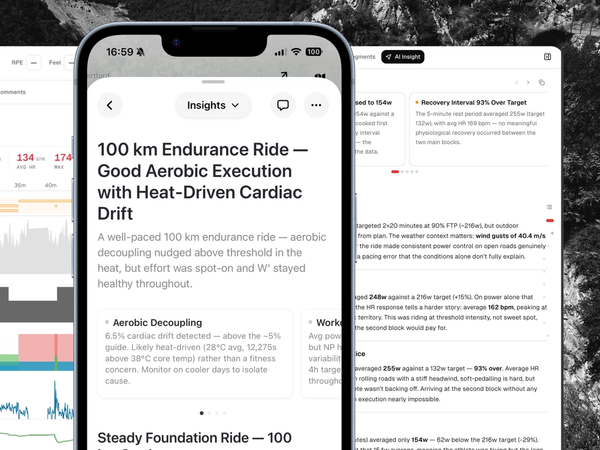 Meet AI Insights