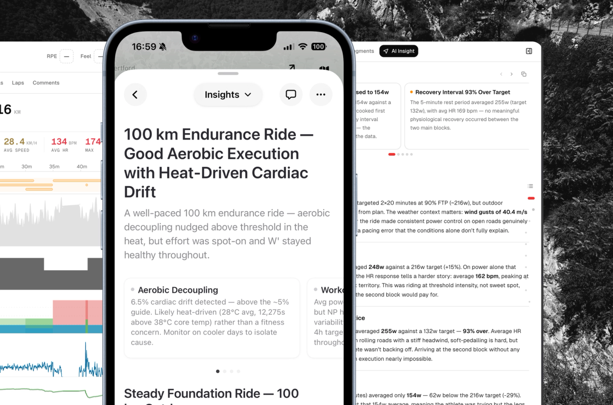 Screenshot of Insights