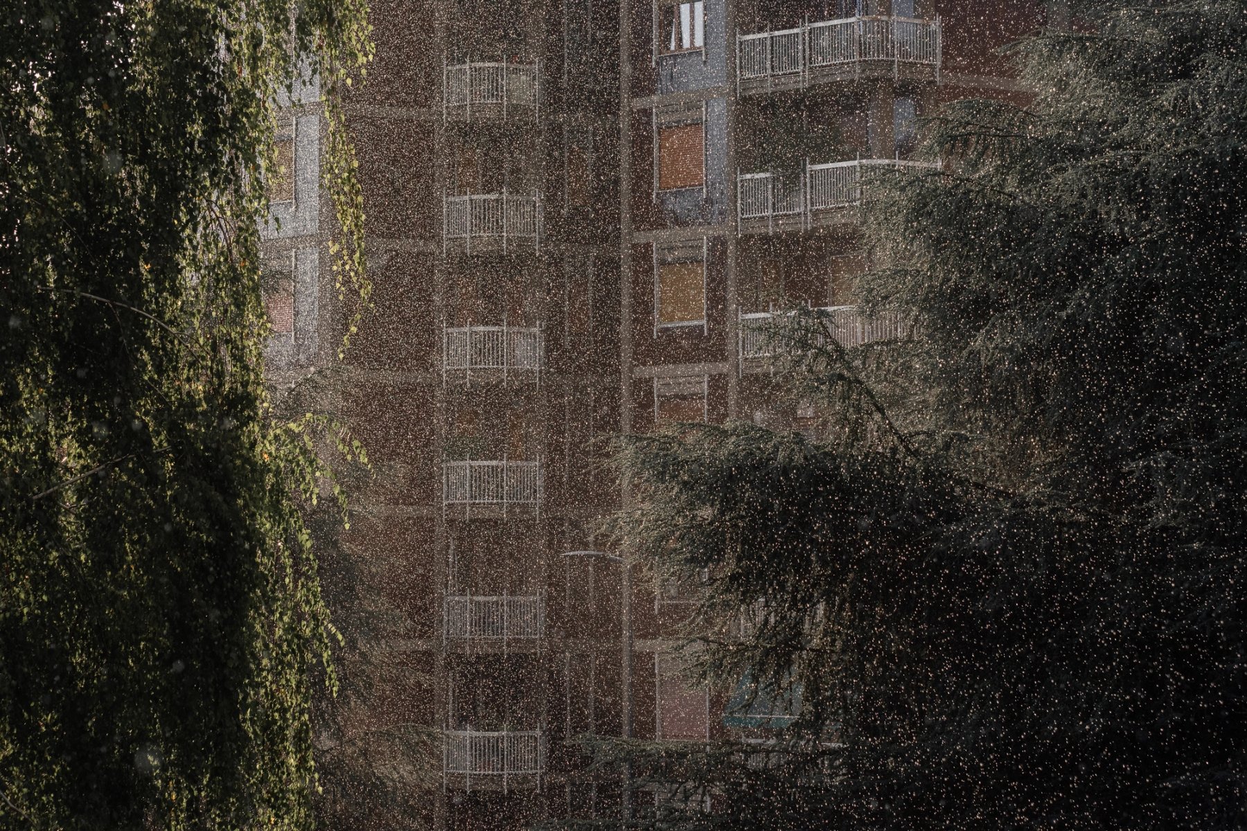 Fotografia di Milano