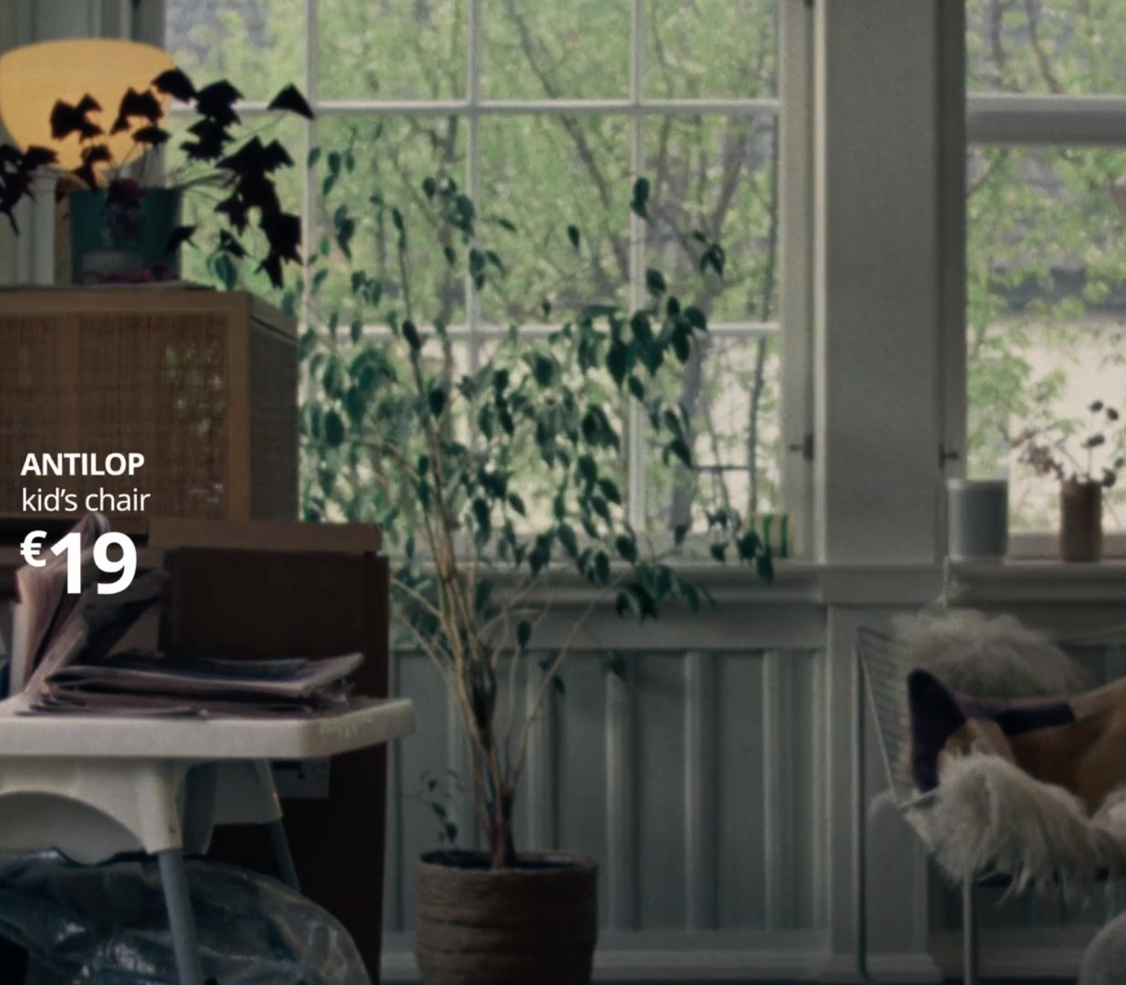ANTILOP kid's chair for €19 in a bright, plant-filled room.
