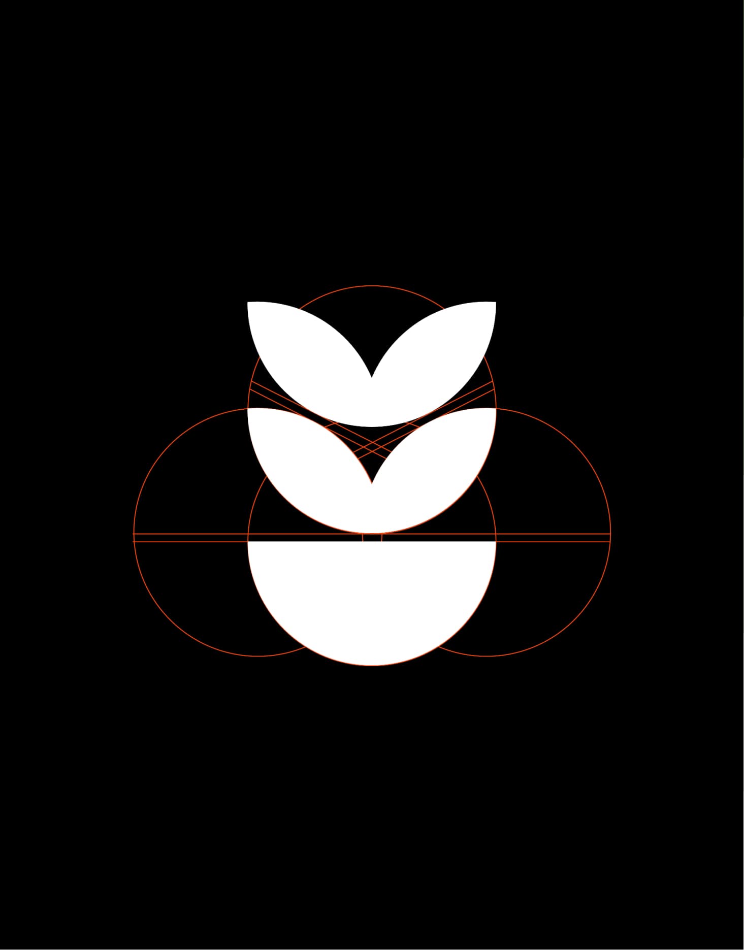 Middagsfrid packaging detail showing the updated visual identity, left of a paired photograph