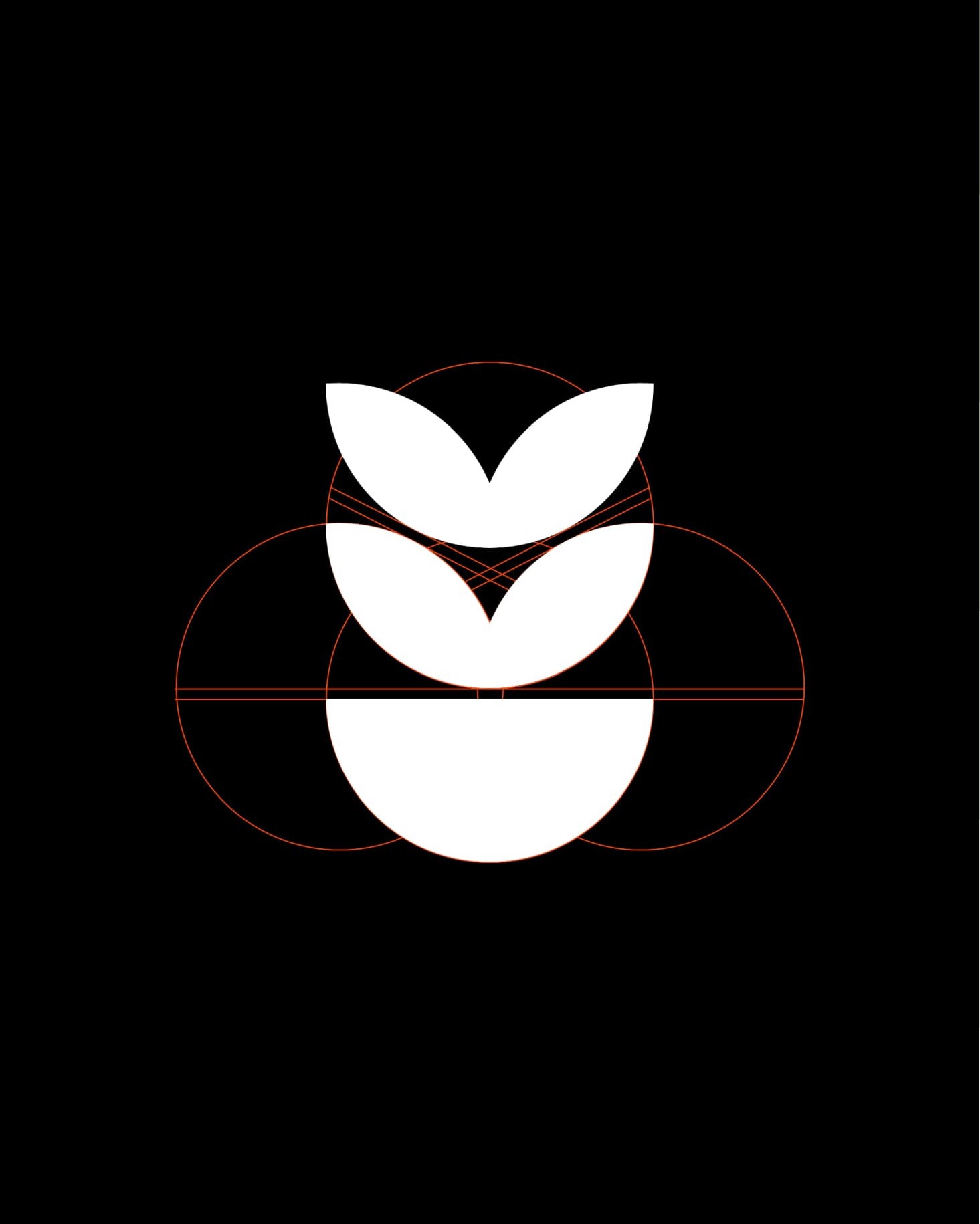 Middagsfrid packaging detail showing the updated visual identity, left of a paired photograph