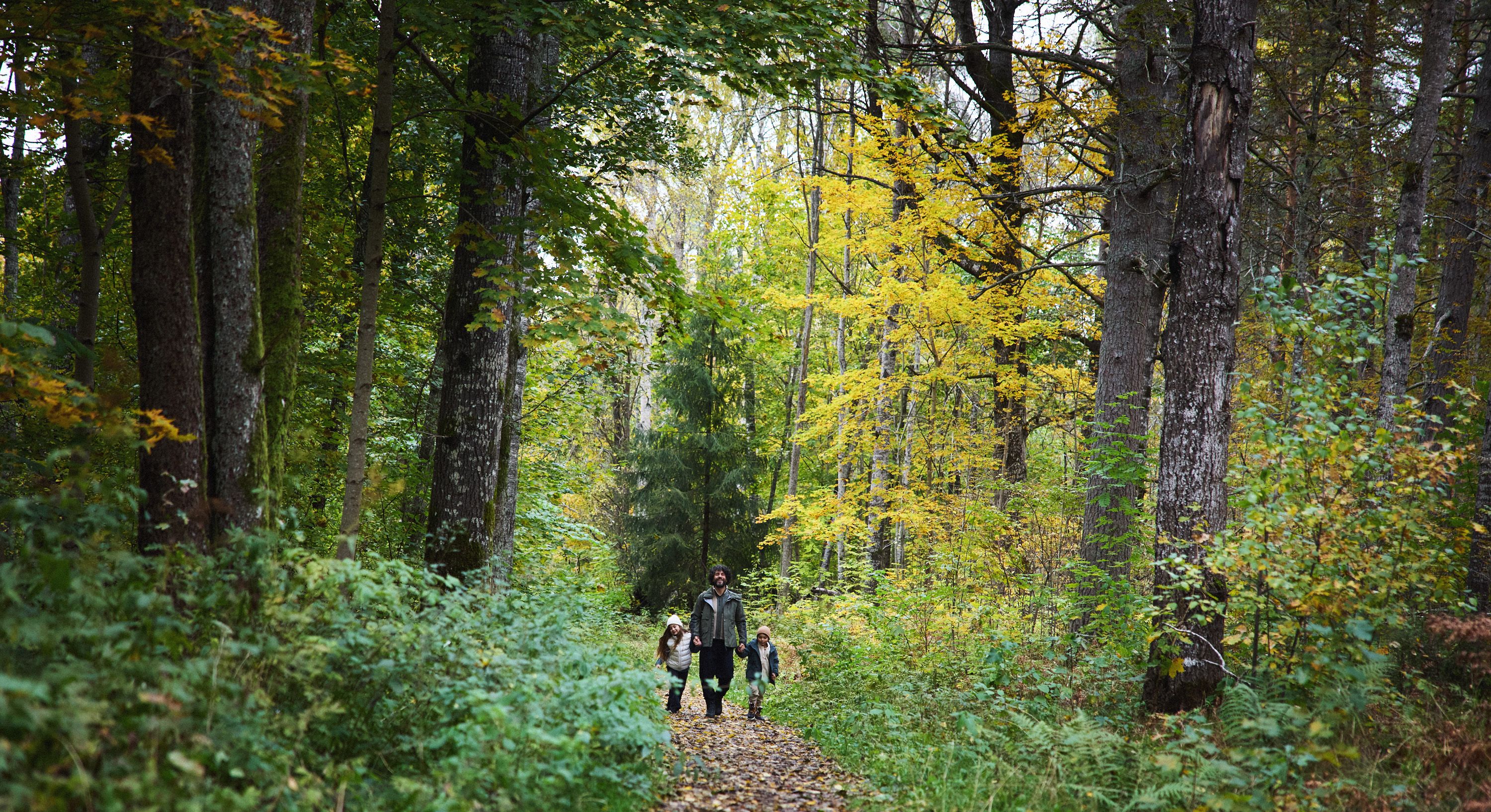 Örebro campaign photograph of nature around the city