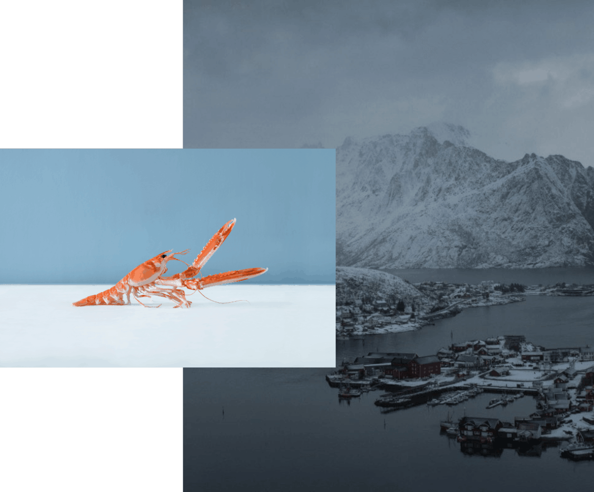 En norsk kystby, brukt som kampanjefotografi for Seafood from Norway-merkevarekonseptet.