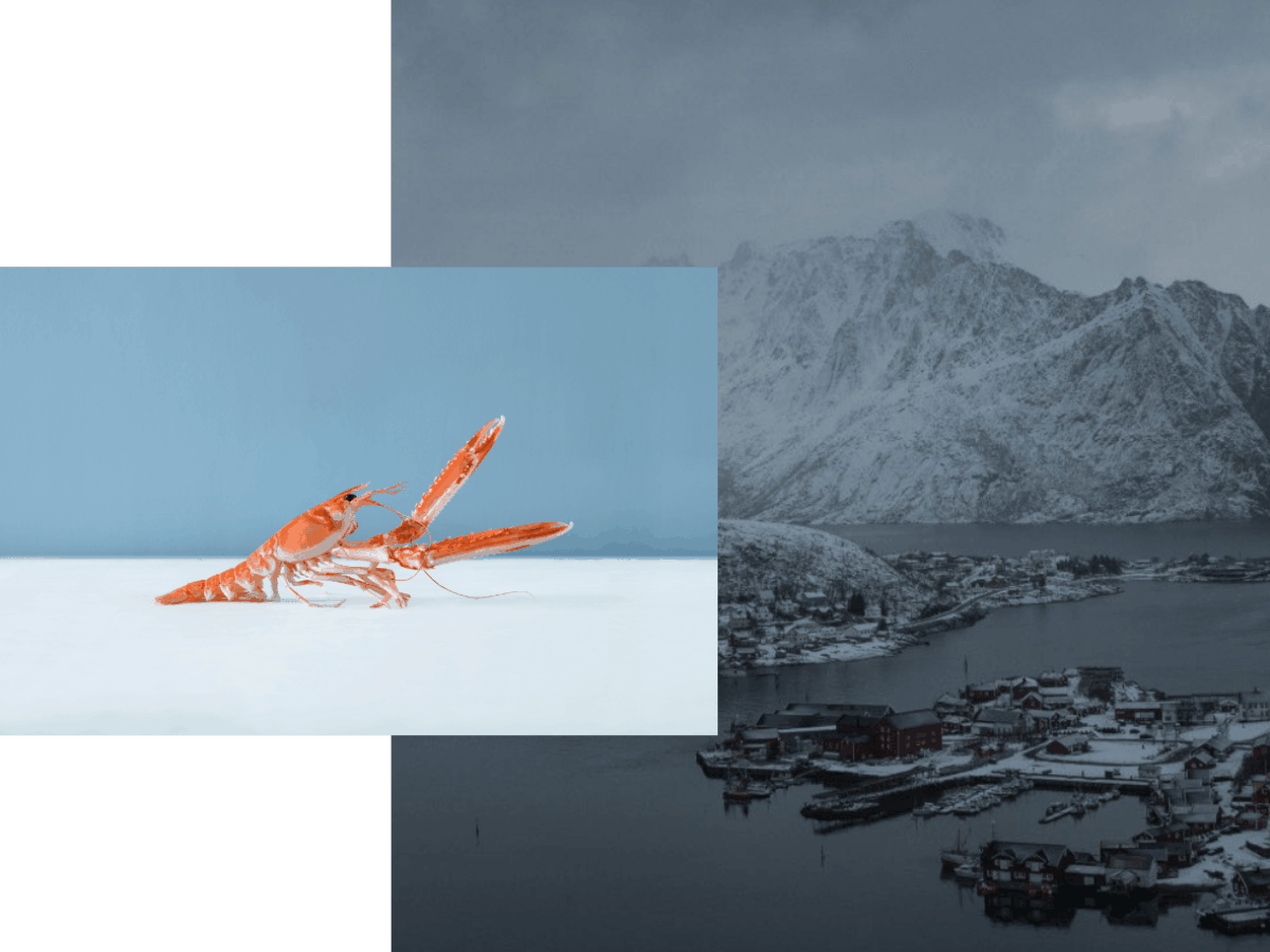 En norsk kystby, brukt som kampanjefotografi for Seafood from Norway-merkevarekonseptet.