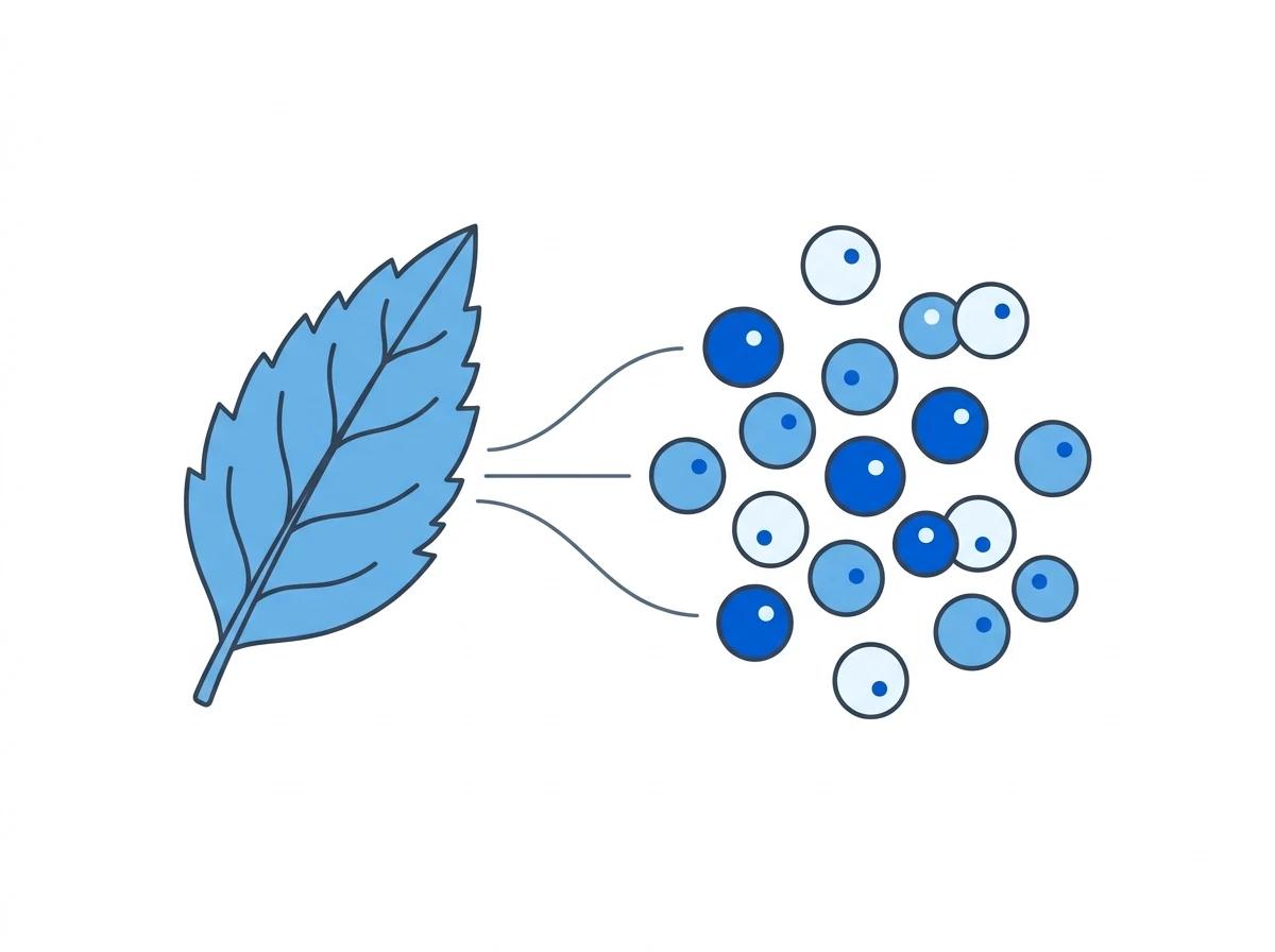 Automated Nuclei Isolation from Diverse Plant Tissues Using the Singulator 200 — App Note