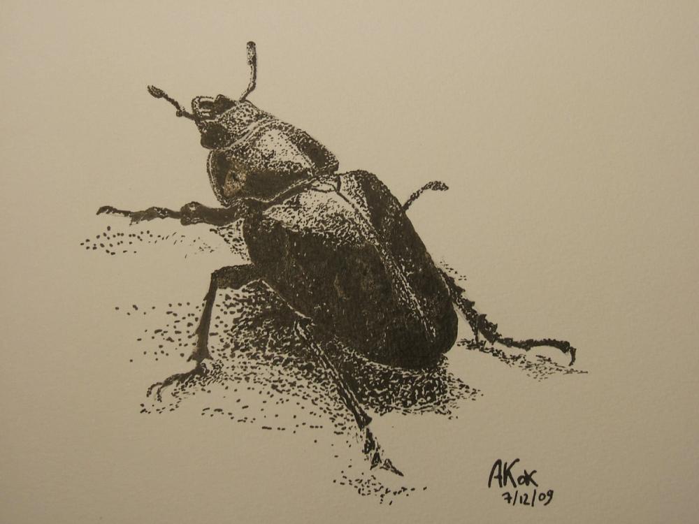 Scarabée à l'encre — Acrylique sur toile