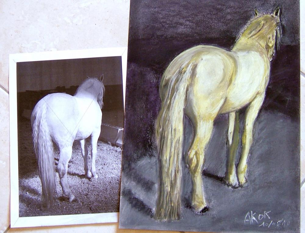 Le Cheval , contraste de qualité Clair obscur — Acrylique sur toile